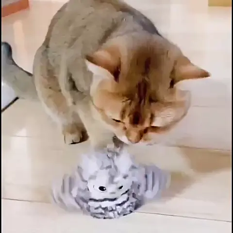 Gato pulando em cima da Corujinha Interativa no chão da sala